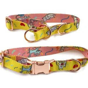 Collier pour chien personnalisé avec impression de texte