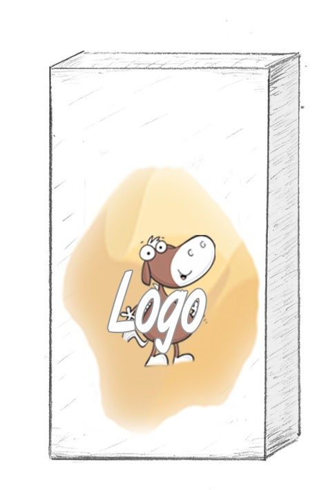 SAVONS LIQUIDES_300ml